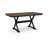 Anae Counter Height Butterfly Extension Table