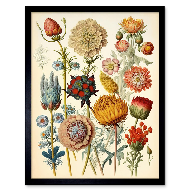 Odon Vintage Botanical Ernst Haeckel Inspired Plant - Single Picture Frame Print