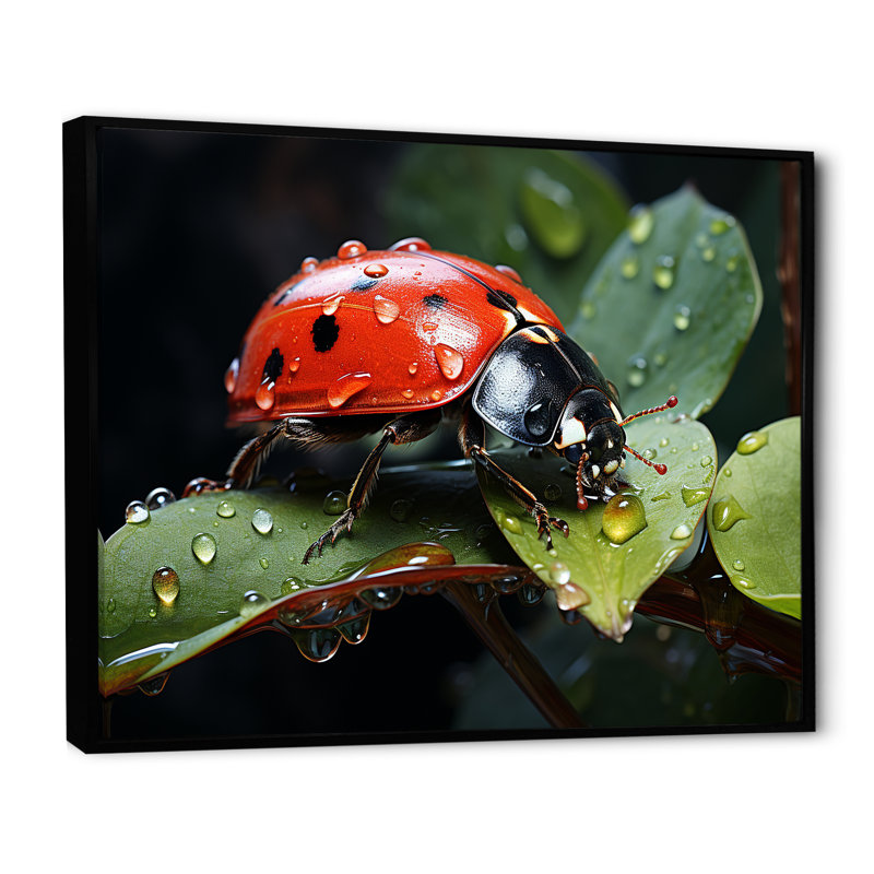 Curious Ladybug Crimson Serenity II, Cadre flottant noir, H 16 po x l 32 po x P 1 po