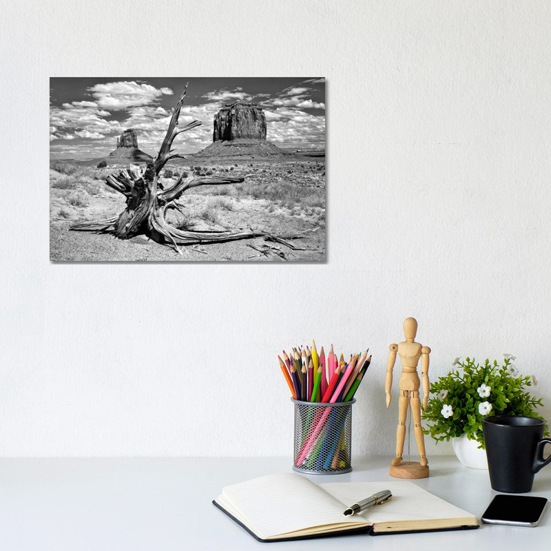 B&W Desert View V by David Drost - Wrapped Canvas Panoramic Print, 20.32 cm H x 30.48 cm W