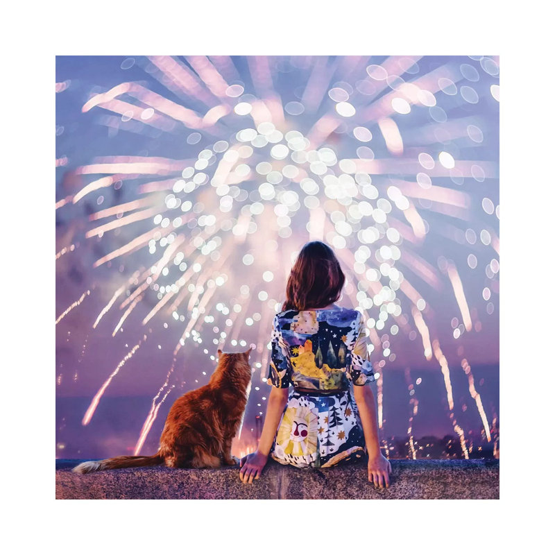 Nuit. Magie. Feux d’artifice de Hobopeeba-impression, Pas de tapis, Toile tendue, H 12 po x l 12 po x P 0,75 po