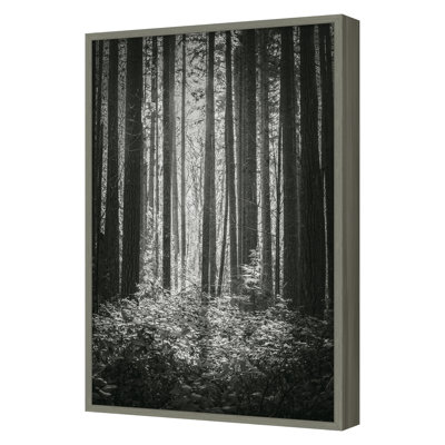 Lowland Winter Forest No 13, Tiger Mountain Print by Bisig, Steve