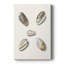 Pastel Knorr Shells III - Cavas enveloppés de galerie-108825285