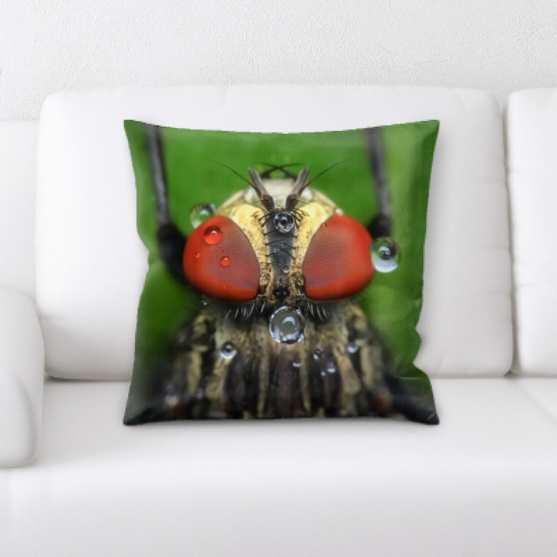 Coussin housefly