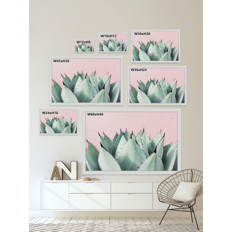 Abdirazaq Sweet Succulents - impression sur papier, Cadre blanc, H 8 po x l 12 po x p 1,5 po