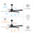 Ariebella 52" 5-Blade LED Ceiling Fan with Light Kit and Remote Control