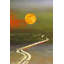 Parvez Taj - Wrapped Canvas Print-12844565