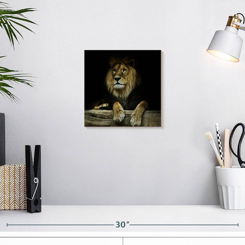Brampt Imperious Lion, 10" H x 10" W