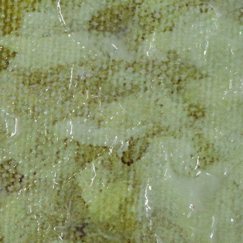 « Hydrangea Garden », reproduction d'art sur toile tendue, blanc