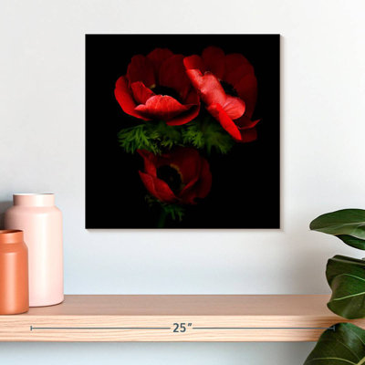 Harnek Anemone VII