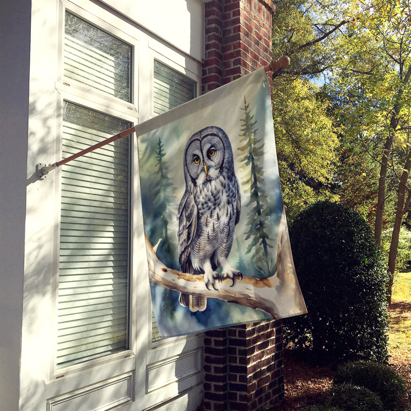 House Flag, Great Gray Owl