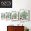 Collected Ferns I Framed Print - Solid Wood-1431272538-1431272541