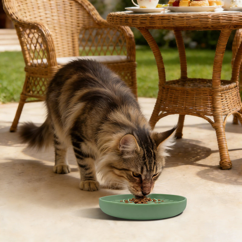 Bols pour chien à alimentation lente, bol pour chien à alimentation lente, bol à alimentation lente pour chiots, Green