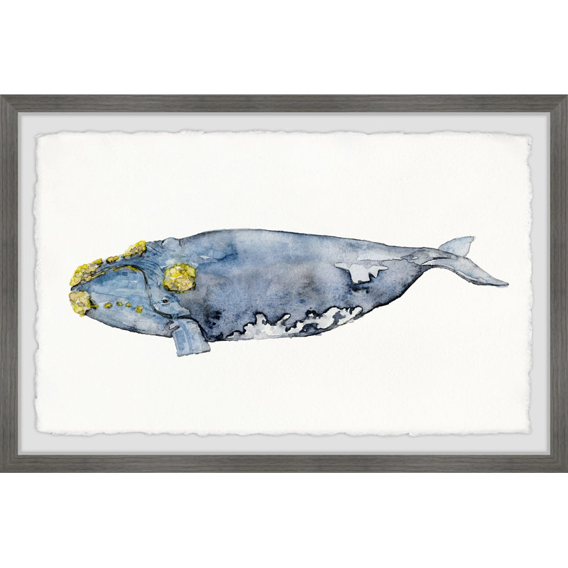 «Mossed Whale» par Maryville, reproduction encadrée, H 8 po x l 12 po x P 1,5 po