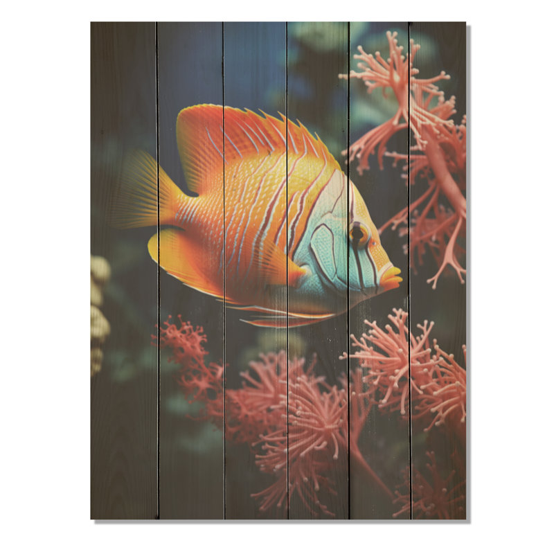 Magnifique poisson papillon bleu et orange - corail sous l'eau sous l'eau, H 20 po x l 10 po