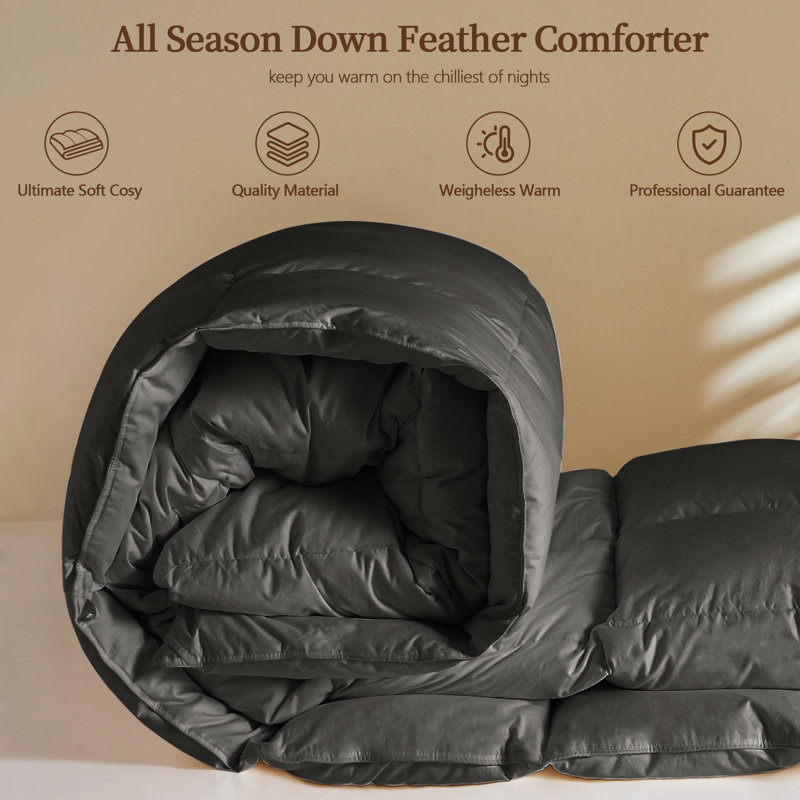 Ultra-Plush All-Season Comforter, Hotel-Style Feather Down Duvet Insert with Cotton Blend Cover, Medium Warmth & Hypoallergenic