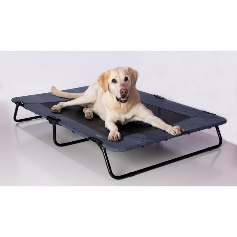 Lit pour animaux, l 30 po x P 20 po x H 5,6 po, Bleu lac
