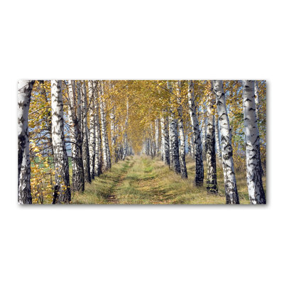 Birches In Autumn - Wrapped Canvas Print