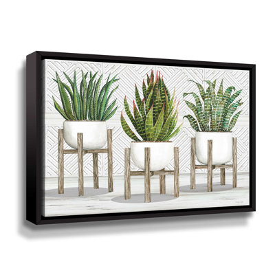 «Succulent Trio on Stands» par Cindy Jacobs, reproduction d'art sur toile