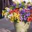 Arrangement