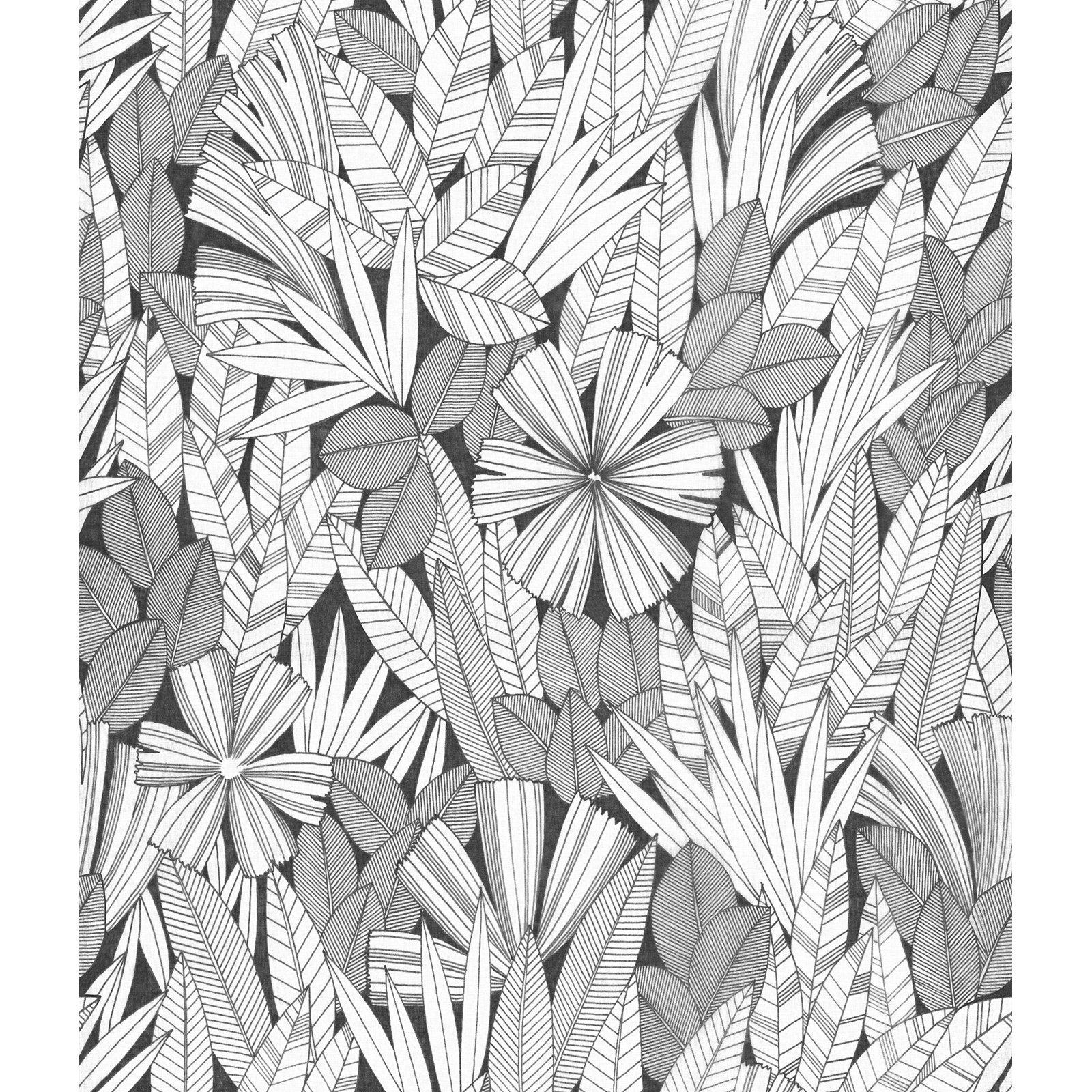 Avellana Botanical Wallpaper, Black