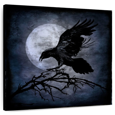 Kelan Moonlight Crow
