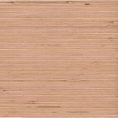 Rouleau de papier peint 24 po x 36 po Duuteis Jute
