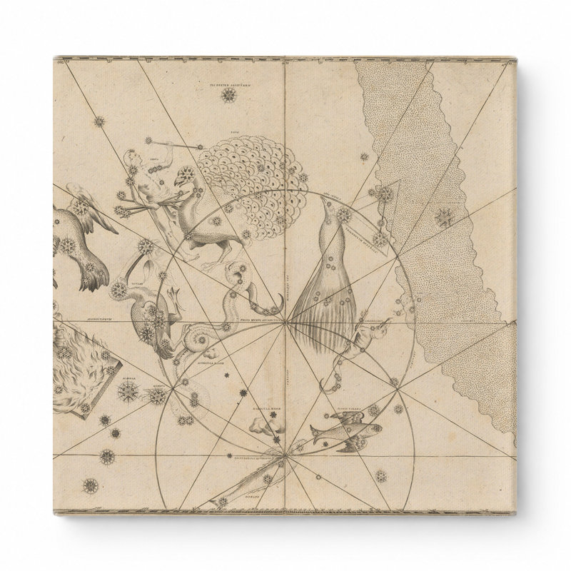 Uranometria (1661) - Art mural carré sur toile, 16" W x 16" H