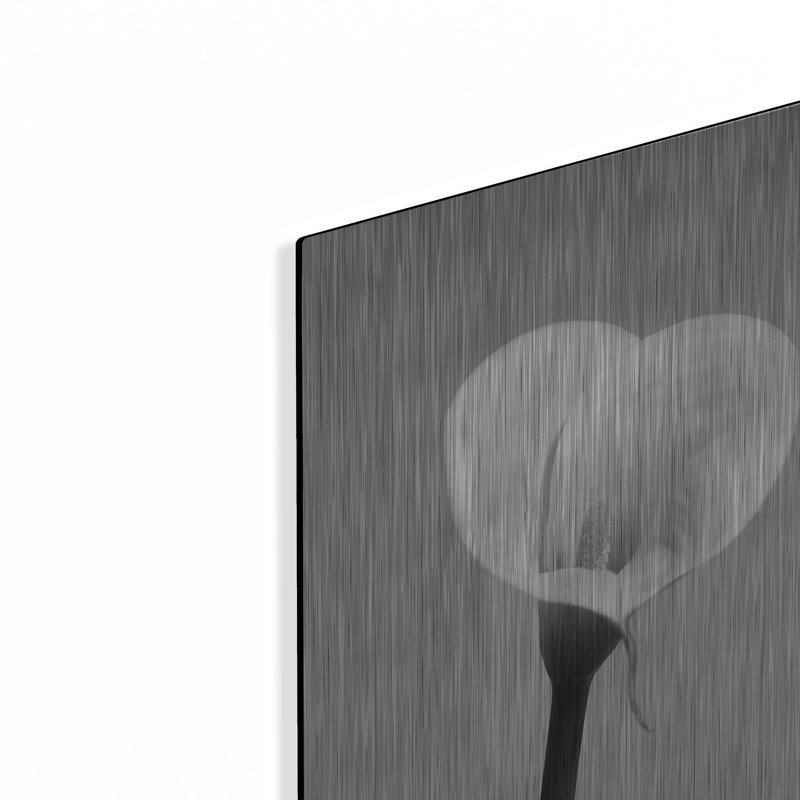 «Calla No. 2» par Photoinc Studio, art mural en métal, H 16 po x l 12 po