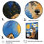 Murales expressives de loup par Vincent I - loup, salon d'art mural-1536458188-1536458185-1536458189