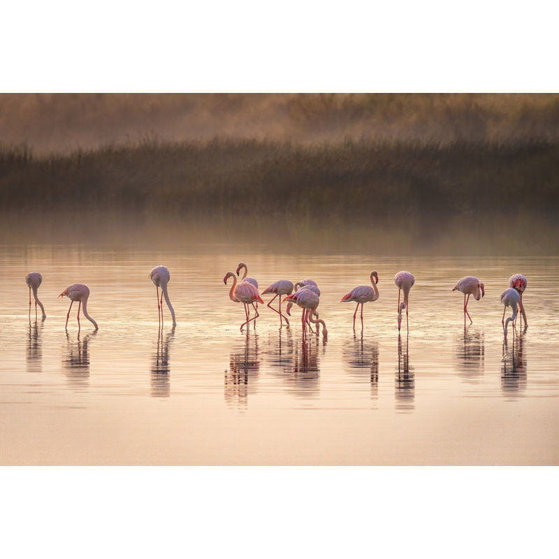 Wrapped Canvas Print, 50.8 cm H x 76.2 cm W