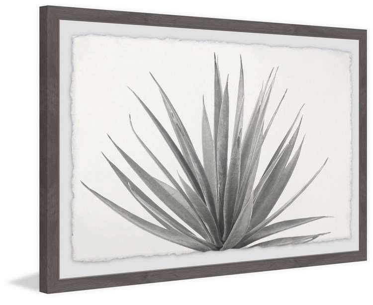 Marginata - Single Picture Frame Print, 41cm H x 61cm W x 4cm D, Grey Framed