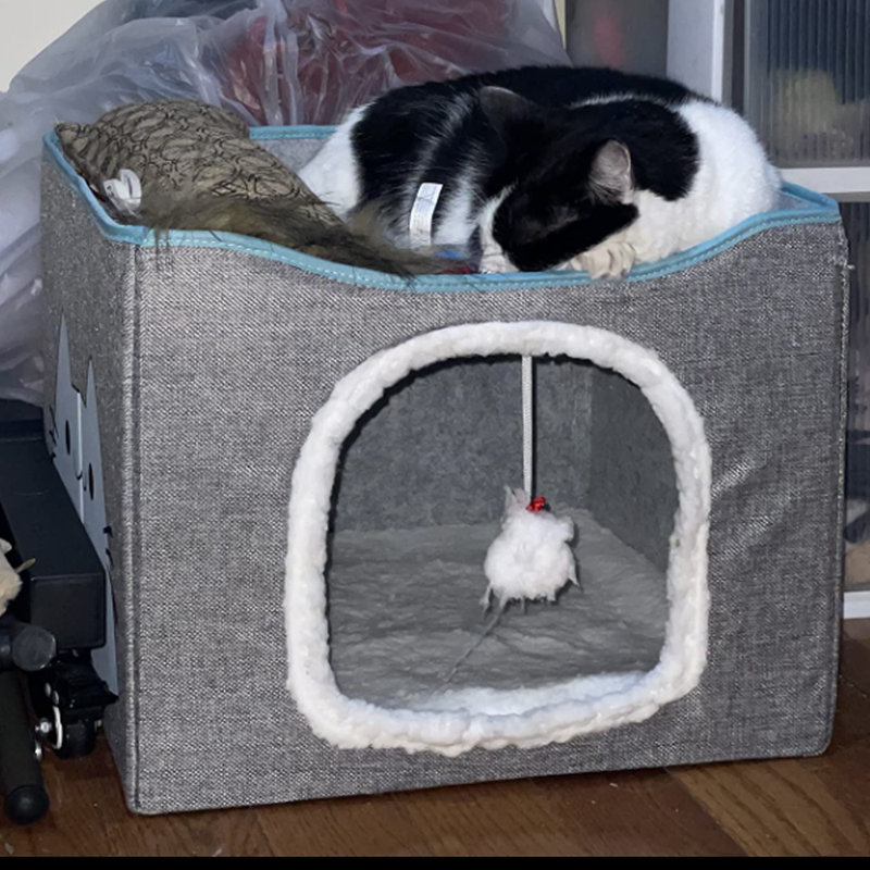 Lit pour chat Chabak