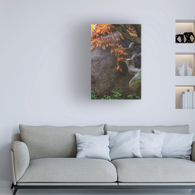 Wrapped Canvas Wall Art - Kurt Shaffer 'Golden Autumn Japanese Maple Leaves on a  Rock' Wall Art for Living Room, Bedroom, or Office Décor  - 22x32