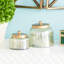 Glass Decorative Jars with Metal Lids Set-973390868
