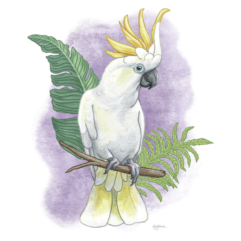 Cacatoès coloré, ara, oiseau, jaune, mauve vert, sur fond blanc, H 16 po x l 24 po x P 1,5 po