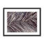 Night Field 4 Framed Print-1978867207-1978867451