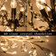 Nevis 3 - Light Unique/Statement Chandelier-13640487