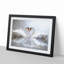 Swans Forming a Love Heart in Abstract - Picture Frame Graphic Art Print on MDF-55728475-55728474