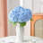 hydrangea