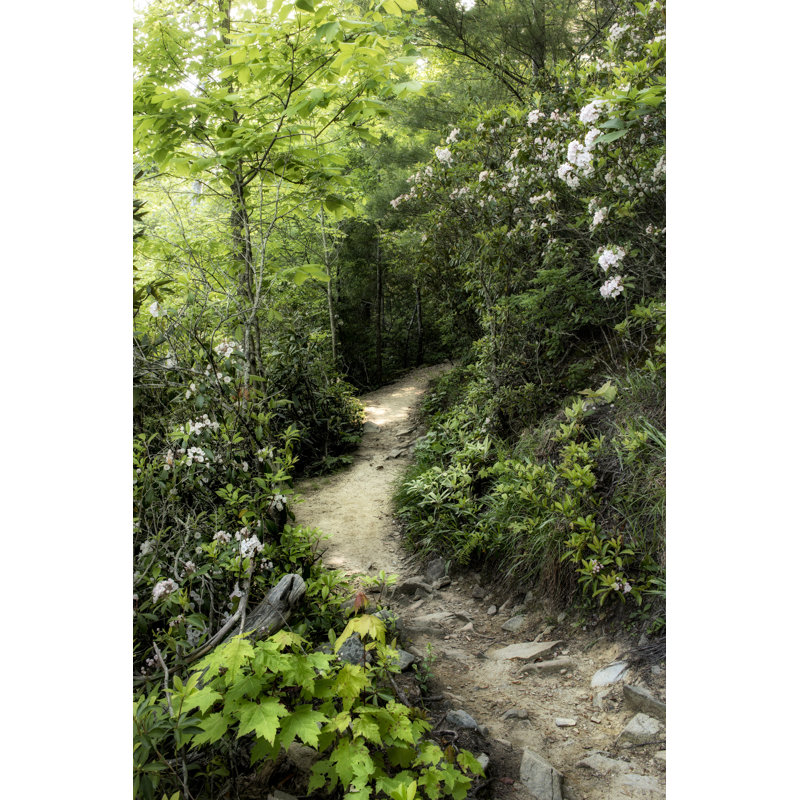 Mountain Trail by Danny Head - Photograph, Wrapped Canvas, 76 cm H x 51 cm W
