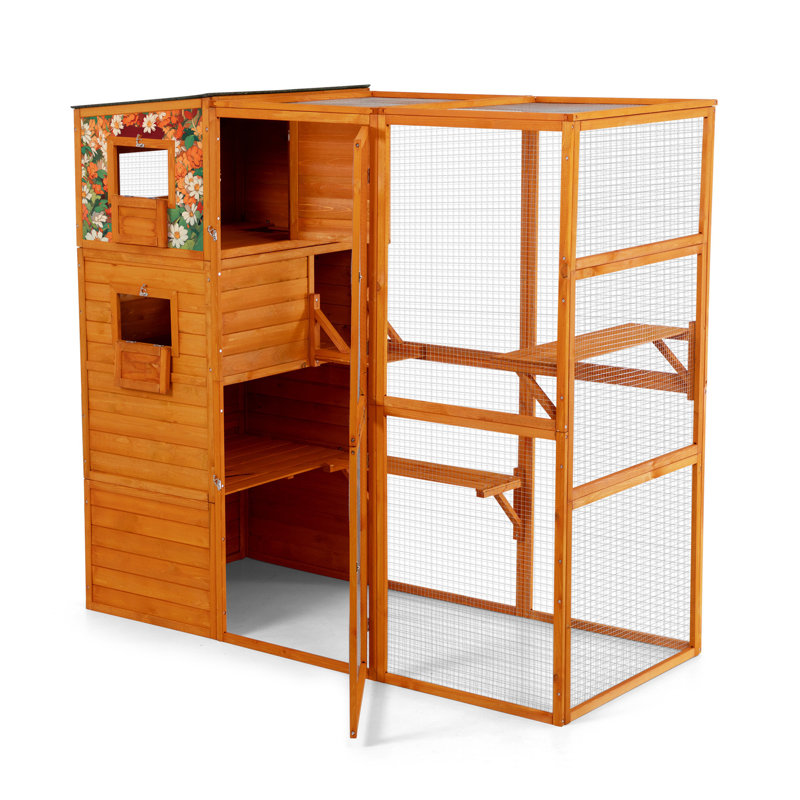 Large Outdoor Cat Enclosure