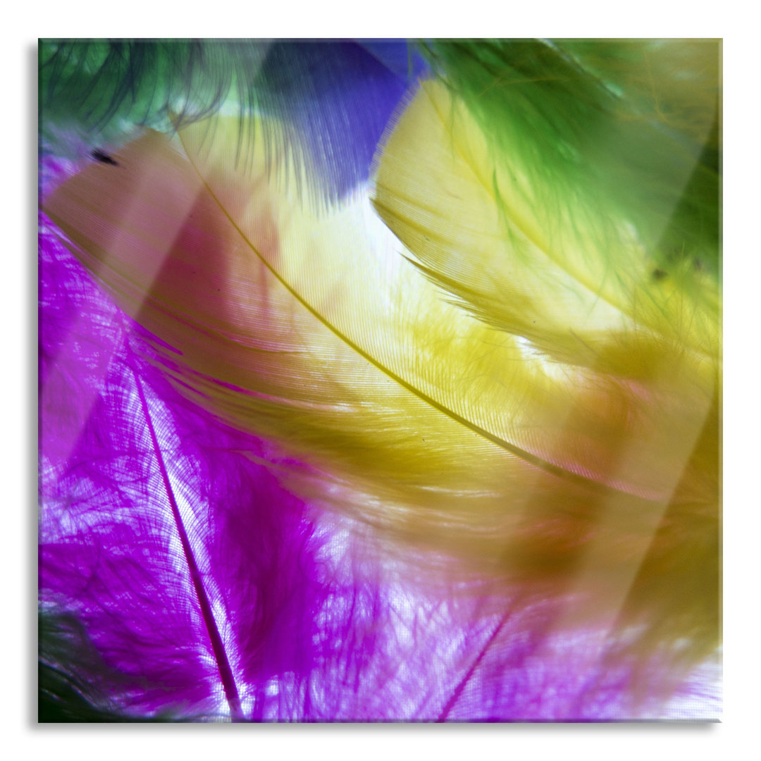 Glasbild "Bunte Federn"