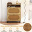 12 Pair Shoe Storage Cabinet
