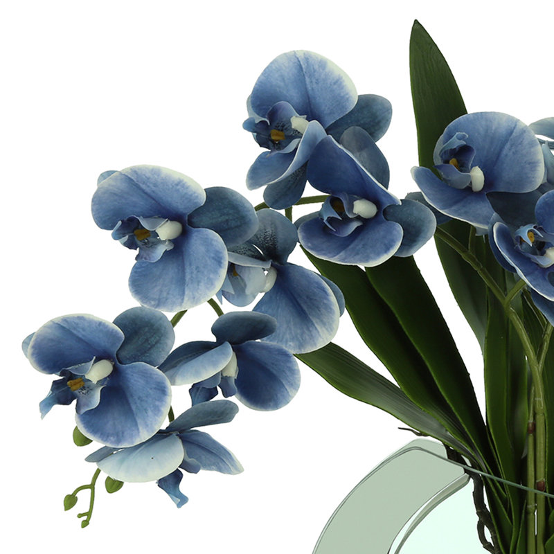 Orchid Floral Arrangement in Vase, Blue