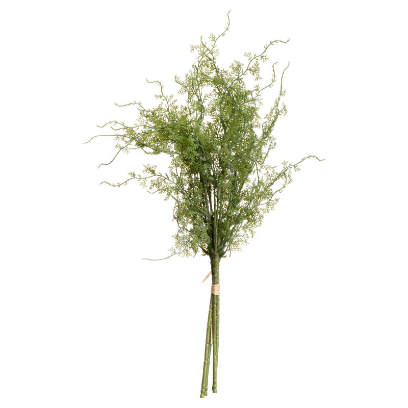 Anastasija Arrangement