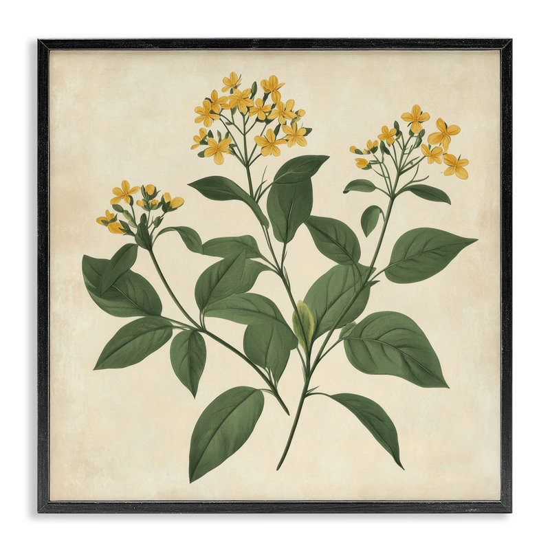 Illustration de botanique jaune encadrée, art numérique par Petal Prints Design, H 12 po x l 12 po