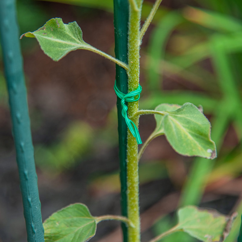 Weather Resistant Plant Support