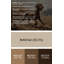«Dogs Wirehaired Pointing Griffon», art mural sur toile-315183955