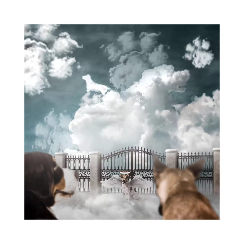Dog Heaven - impression sur toile tendue, H 12 po x l 12 po x P 0,75 po